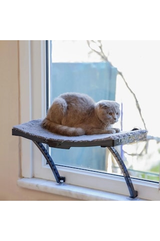 Cama Yapışan Kedi Yatağı