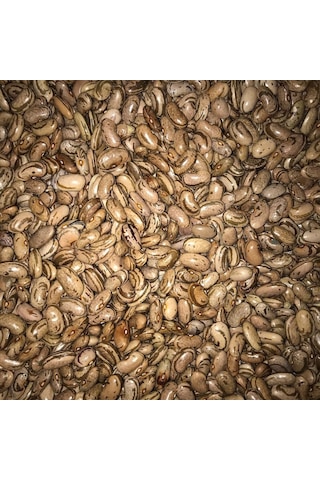 Yerli Ata Tohumu Perolar UzunEnli Sırık Erken Fasulye 25 GR