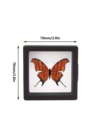 Güneşe Dayanıklı 3 Adet Gümüş Takı Yada Kolleksiyon Koruma Kutusu Çok Renkli