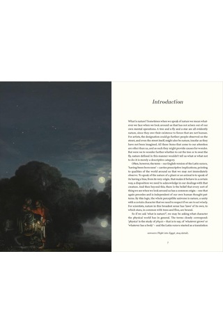 Natural Light: The Art Of Adam Elsheimer And The Dawn Of Modern Science