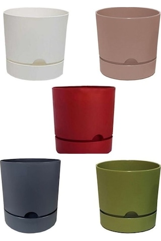 5 Adet Polıwork Saksı Begonya 18 Cm