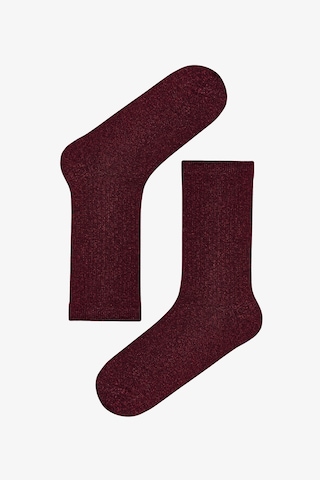 Penti Siyah Bordo Gri Dream Gleam Pamuklu Simli 3 Çift Soket Çorap