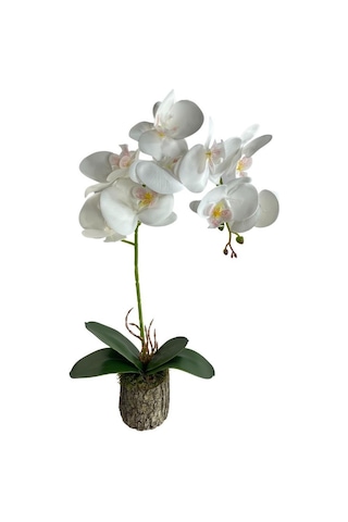 Nettenevime Kütük Saksılı Tekdal Islak Orkide Yapay Çiçek Beyaz 50 x 30 CM