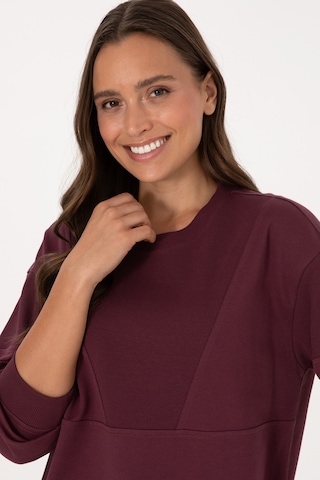 U.S. Polo Assn. Kadın Bordo Pamuklu Bisiklet Yaka Sweatshirt 50314170-VR177