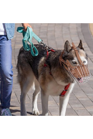 Pasha Pet Metal Deri Köpek Ağızlığı Xl - 38 Cm