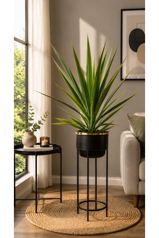 Bitkidunyam Mat Ayaklı Saksı, Metal, Altın Detaylı Kenar, Modern Minimalist Stil, İç Mekan, 62x26 Cm No:12 Siyah