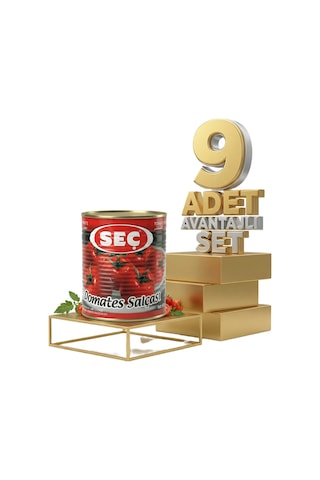 Seç Domates Salçası 9x830 Gr