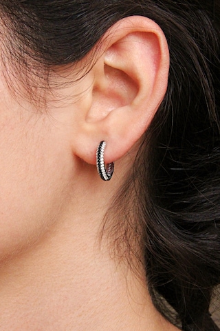 Argentum Concept 925 Ayar Gümüş Siyah Beyaz Taşlı Halka Küpe - K051601