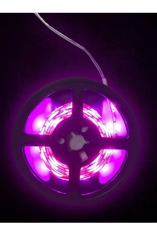 Sunmix Led Fitolent Fito Lamba Fitosvetlichnik İçin Fide 307777592 Violet
