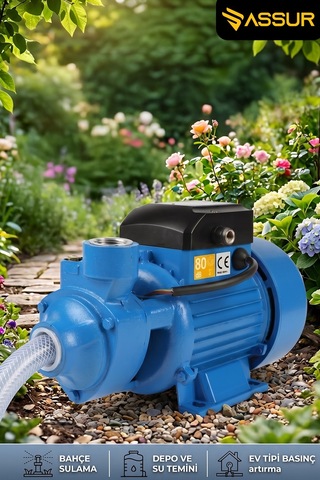 Assur Qb80 43m Basınç Yüksekliği 1 Hp Bakır Sargı Elektrikli Santrifüj Pompa Su Motoru-3150