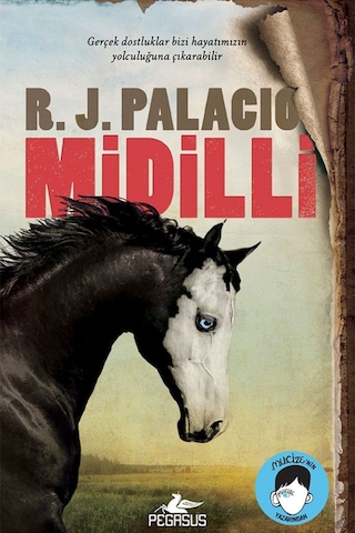 Midilli Karton Kapak - R. J. Palacio