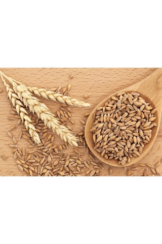 Kappadokia Kızıl Buğday, Spelt Dinkel Unu 1 Kg