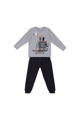 Denokids Animals Team Erkek Çocuk T-shirt Pantolon Takım Renkli Çok Renkli