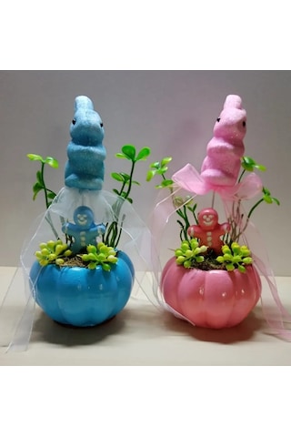 Neolife Yeni Doğan İkiz Bebek Hediyesi Doğum Tebrik Hediyesi Sevimli Tavşancık Detaylı 2 li Kabak Teraryum