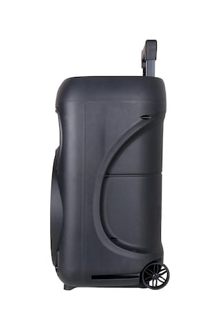 Teknodur Gd-1203 Dijital Led Göstergeli Fm Radyolu Mikrofonlu Rgb Tws 12 İnç Stereo B