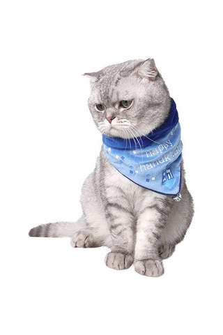 Homyl Köpek Kedi Tükürük Havlusu Üçgen Önlük Mavi