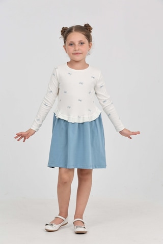 Toontoy Kids Kız Çocuk Baskılı Relax Fit Bisiklet Yaka Uzun Kollu Elbise - Renk Bloklu Mavi