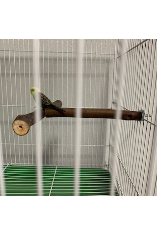 Vkemall Kuş Eğitimi Ahşap Standı - 18x15cm T Tipi Konaklama Ve Oyun Platformu