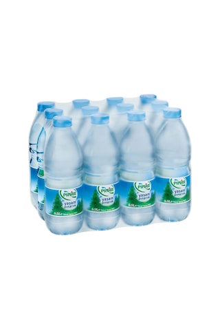 Pınar Su 48 x 500 ML