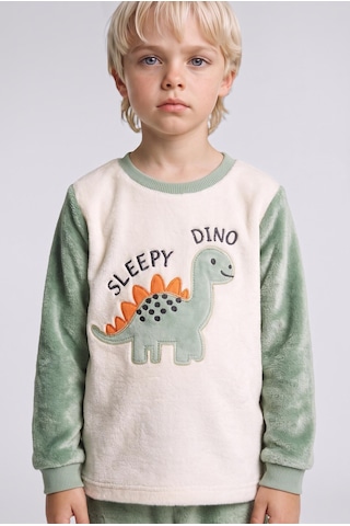 Defacto Dinozor Baskılı Pelüş 2li Pijama Takımı Erkek Bebek I2368a526cwkh434 Haki-kh434