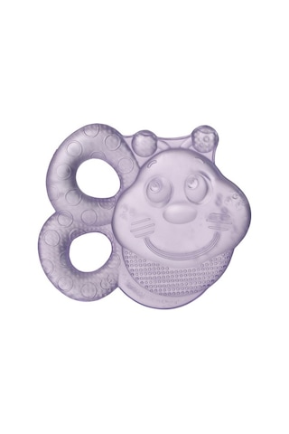 Playgro Sulu Dişlik Arı (2'Li Paket) Çok Renkli