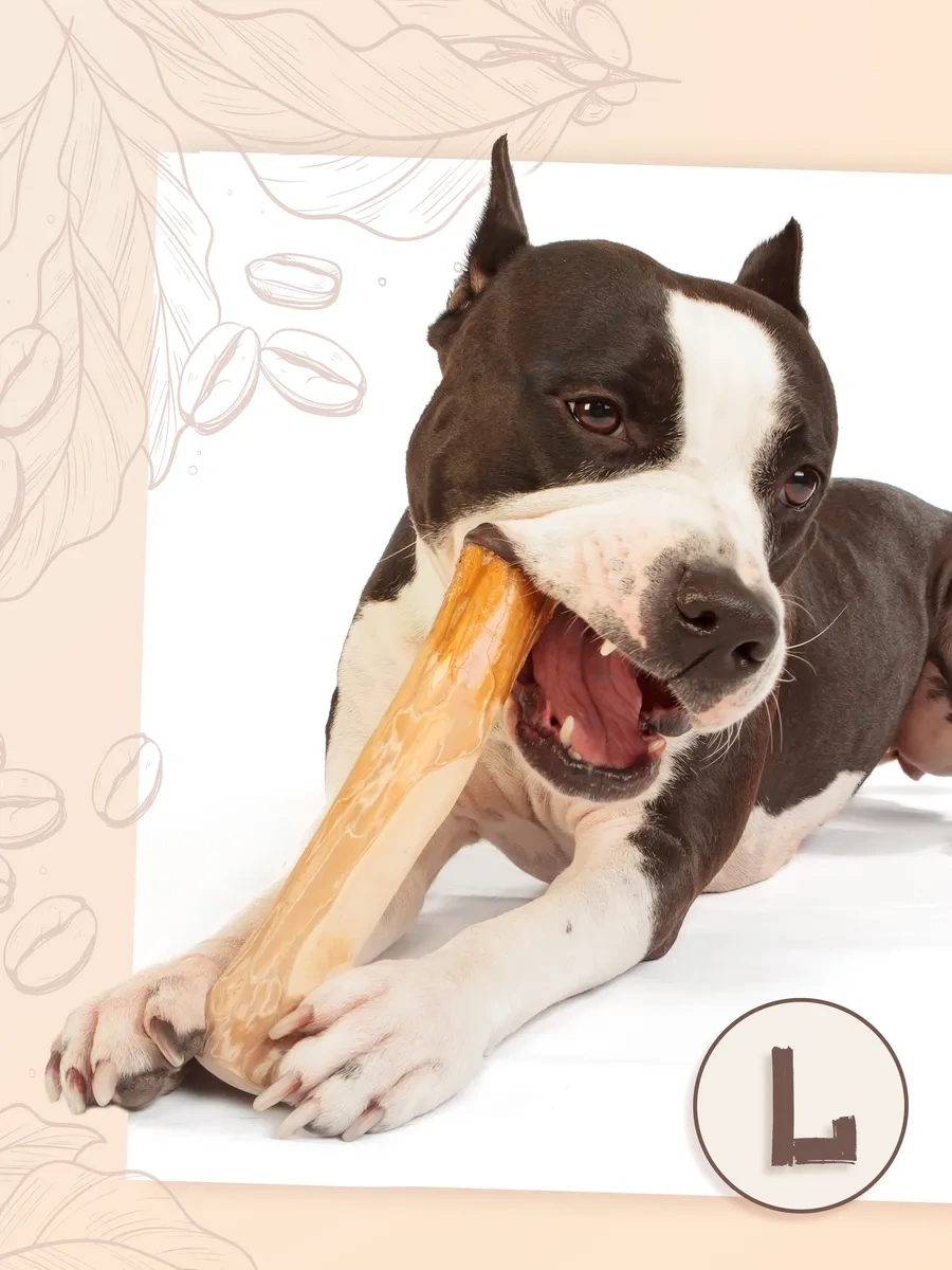 Coffee Wood L Kafes Ağacı Çubuğu 103753783