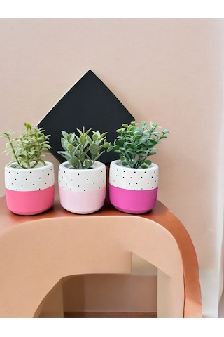 Renkli Saksı Seti Sukulent Kaktüs Dekoratif Eşya- Ev Dekorasyon - Saksı Seti 2