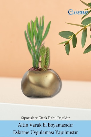Saksı Çiçek Kaktüs Saksısı Lüx 14 Cm Elips Desenli 3'lü Set Çiçeklik - Altın Eskitme