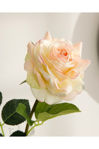 Canker Bloom Kumaş Tek Dal Yapay Çiçek Krem