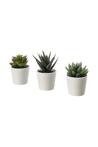 Sumuhome Fejka Saksılı Yapay Bitki Kaktüs 6 Cm 3 Adet