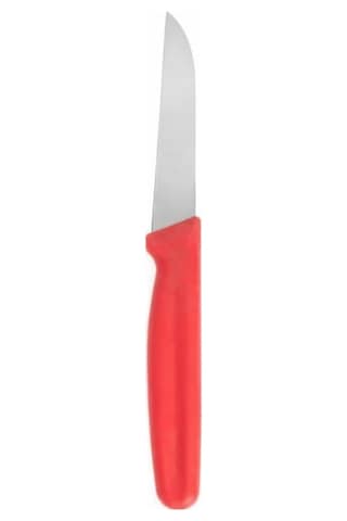 Basic Küt Ağızlı Sebze Meyve Bıçağı 8cm Metal Bıçak 18cm Komple Ölçü 1 Adet Kırmızı Çok Renkli