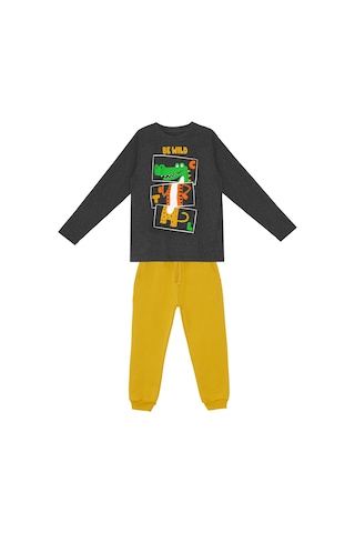 Denokids Be Wild Erkek Çocuk T-shirt Pantolon Takım Çok Renkli