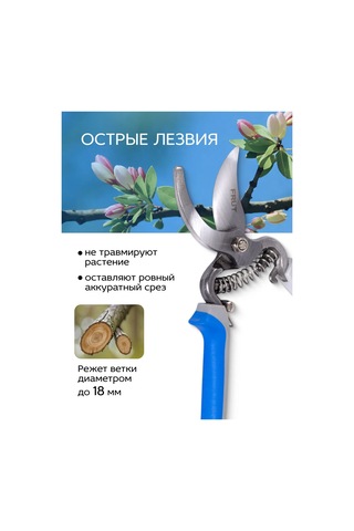 Frut Tam Dövme Budama Makası 318437660