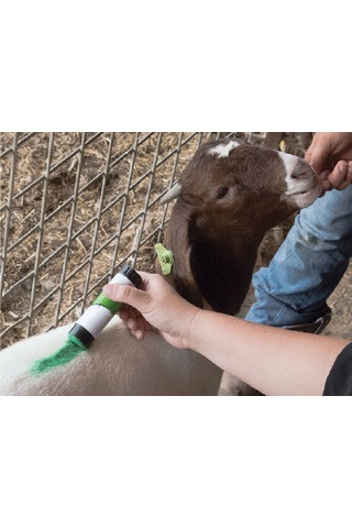 Top Marker Hayvan İşaretleme Kalemi Siyah