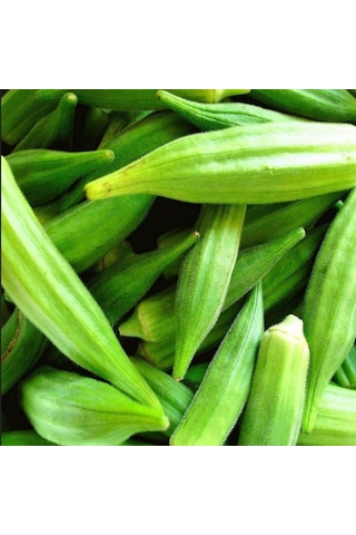 Geleneksel Anadolu Sultani Bamya Tohumu 50 Tohum