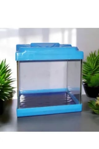 Mavi Renkli Mini Kare Akvaryum 20x20x15