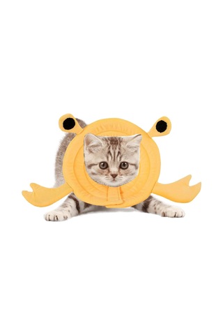 Homyl Ayarlanabilir Kedi Koni Yaka Anti Isırık Küçük L Sarı