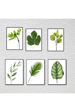 Modern Salon Ve Ofis Dekorasyonu 6'lı Botanik Poster Seti - 20x28 Cm Duvar Tablosu