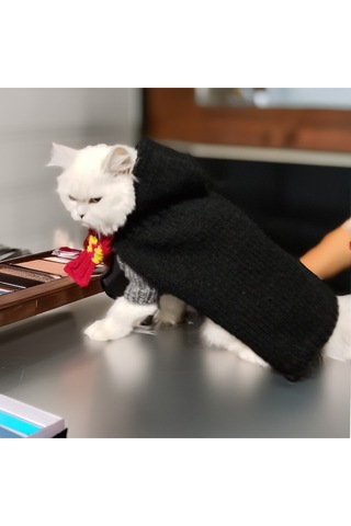 Kedi Ve Köpek İçin Harry Potter Kostümü Cüppe, Kazak, Kaşkol Ve Gözlük Takım