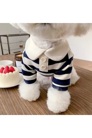 Köpek Giysileri Schnauzer Teddy York Shire Polo Gömlek Yaz Bej