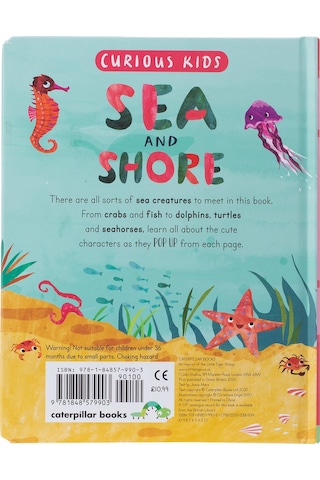 Curious Kids: Sea and Shore
