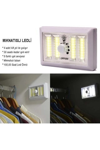 Dimmerli Işık Seviyesi Ayarlanabilir Ledli Lamba Wt-383 Crchmgo Çok Renkli