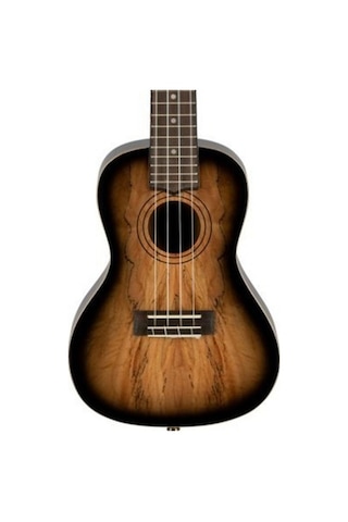 Laniikai Limited Edition Smbb-cx Spalted Maple Concert Ukulele