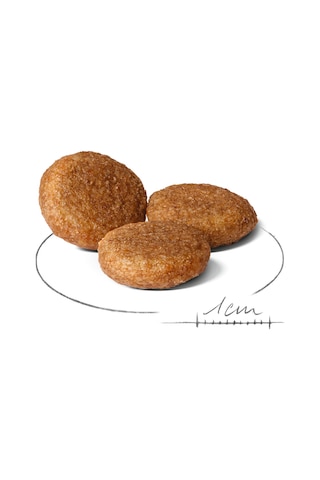 Royal Canin Medium Adult Orta Irk Yetişkin Köpek Maması 15 KG