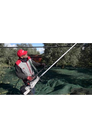 Cifarelli SC 800 Zeytin Ağaç Silkeleme Hasat Makinesi