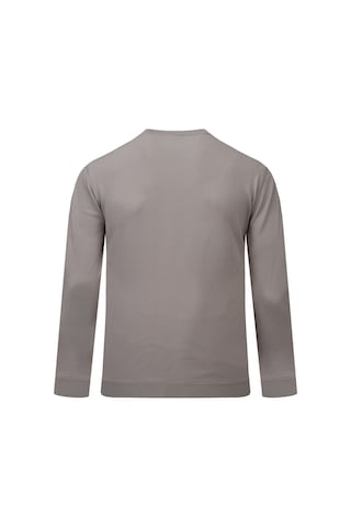 Hatemoğlu Gri Regular Fit Yarım Balıkçı Yaka Rayon Kazak 2977635 Gri