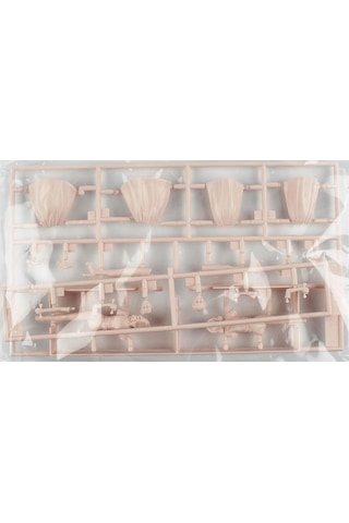 Hasegawa Fc10 29110 1/24 Ölçek, 50 Li Yılların Amerikan Kızları, Plastik Model Kiti-51516