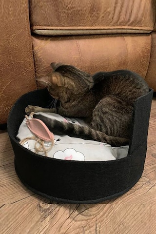 Bundera Mia Kedi Yatağı Evcil Hayvan Kedi Yuvası