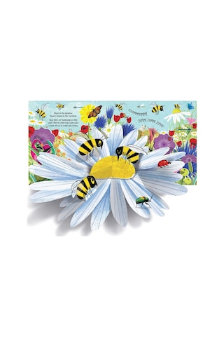 Pop-Up Nature - Anna Milbourne - Usborne