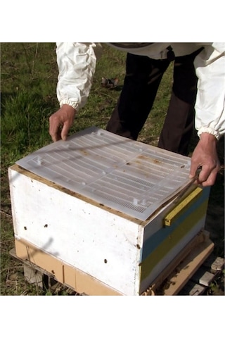 Propolis Tuzağı - Krem - Arıcılık